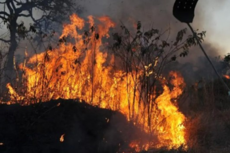 Queimadas consomem vegetação no Brasil (Foto: Agência Brasil)