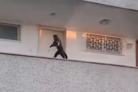 Macaco é flagrado roubando bolo de apartamento no Rio Um "comparsa" aparece esperando o colega com a guloseima