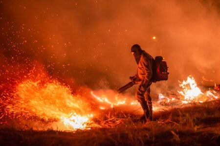 Queimadas no cerrado, em 2024, superam todo o ano de 2023