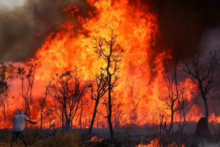 Fogo já destruiu mais de 1,4 mil hectares do Parque Nacional de Brasília