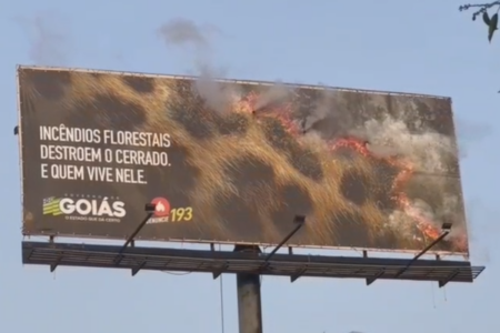Outdoor sobre queimadas, do Governo de Goiás (Foto: Reprodução)