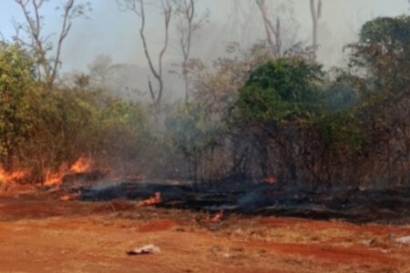 Moradores de Goiânia reclamam de demora dos bombeiros para apagar fogo: 'estamos usando baldes'