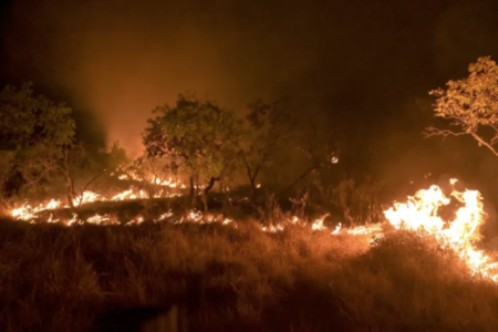 Dia do Cerrado: Goiás tem mais de 7 mil focos de queimadas nas últimas 24 horas Site do Inpe registrou 7.355 focos desde terça-feira (10)