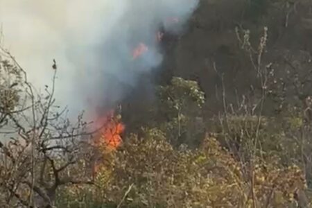 Força-tarefa é realizada para combater incêndio na APA Serra da Areia, em Aparecida de Goiânia