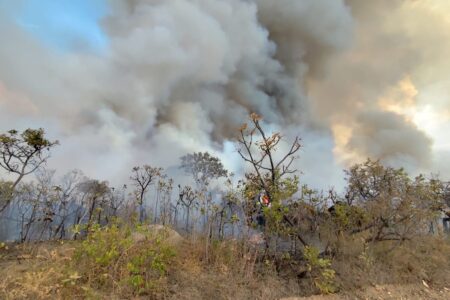Incêndio no Parque Estadual dos Pireneus (Foto: Governo de Goiás)