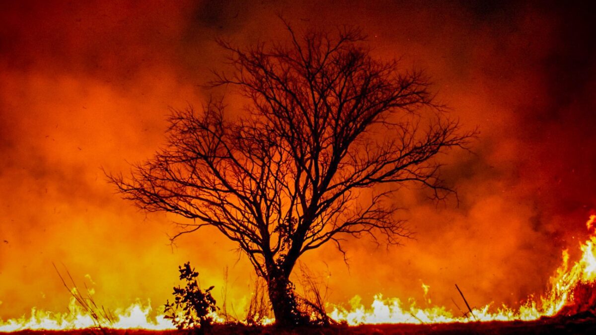 Brasileiro de 28 anos morre carbonizado num incêndio florestal em Portugal Ele teria tentado recuperar equipamentos