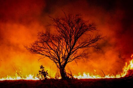 Brasileiro de 28 anos morre carbonizado num incêndio florestal em Portugal Ele teria tentado recuperar equipamentos