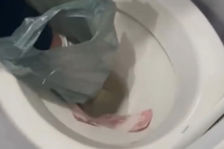 Imagem colorida mostra uma mão vestida com uma sacola pegando dinheiro dentro de um vaso sanitário