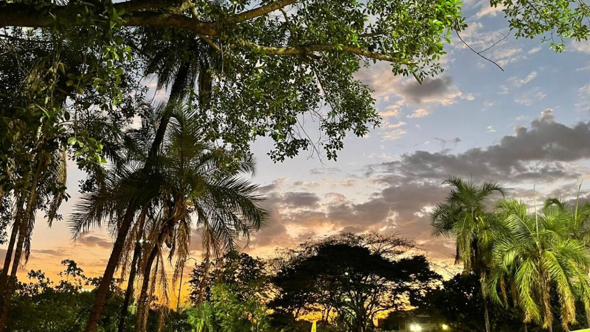 Goiânia recebe primeira Mostra de Música e Arte a Céu Aberto com entrada gratuita