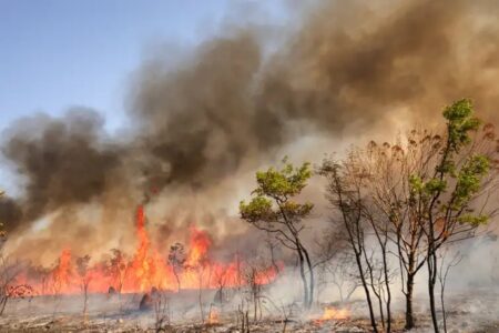 PF abriu inquérito para investigar indícios de crime Fumaça causada por incêndio em Brasília interrompe aulas em 27 escolas públicas; vídeos