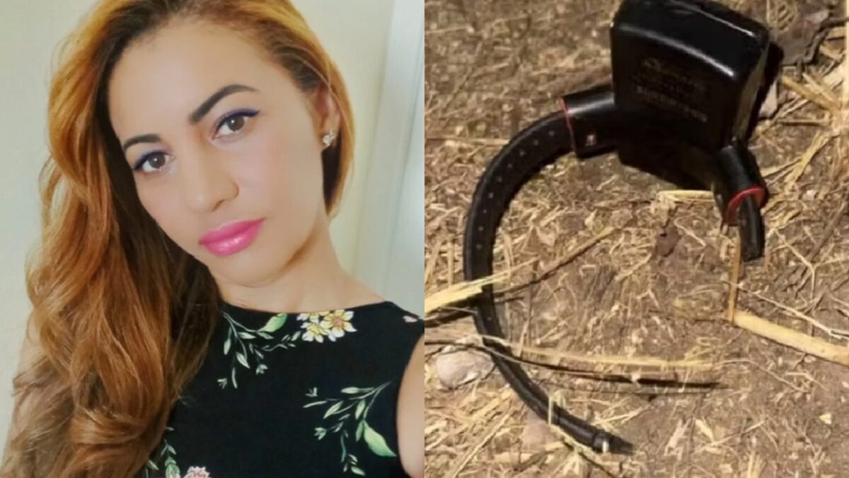 Homem atropela e mata a ex com mais de 30 facadas em Aparecida de Goiânia Vítima havia conseguido medida protetiva após sofrer violência