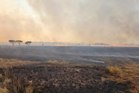 Incêndio na Chapada dos Veadeiros devasta 10 mil hectares