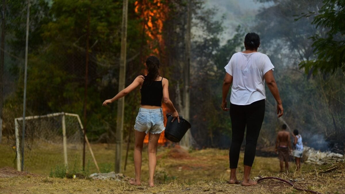 Imagem mostra um fogo em mata e uma mulher correndo com balde pra apagar
