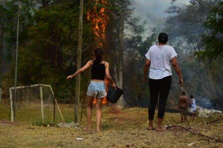 Imagem mostra um fogo em mata e uma mulher correndo com balde pra apagar