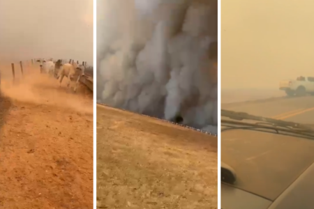 Imagens de incêndios na zona rural de Rio Verde