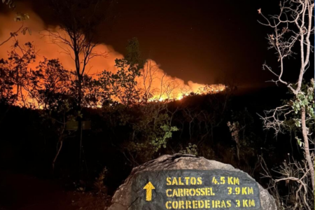 Fogo no Parque Nacional da Chapada dos Veadeiros (Foto: Divulgação/CBMGO)