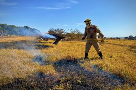 Seapa estima R$ 181 mi de prejuízos em colheitas devido aos incêndios