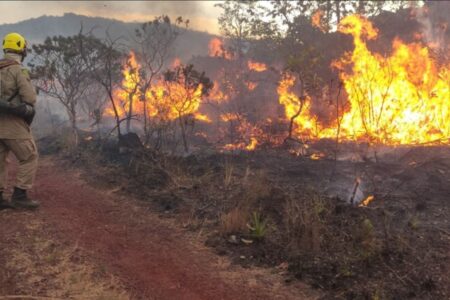 Bombeiro combate incêndio em área de vegetação em Goiâs