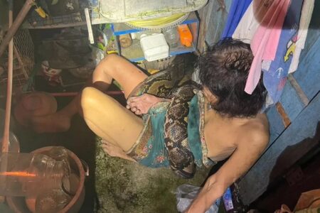 Mulher é resgatada após ficar horas enrolada por píton vídeo Arom Arunroj, 64 anos, foi surpreendida pela cobra enquanto lavava vasilhas