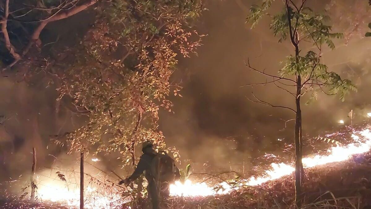 Imagem mostra um bombeiro à noite dentro de uma mata, próximo a uma linha de fogo, apagando incêndio