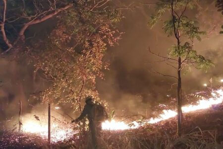 Imagem mostra um bombeiro à noite dentro de uma mata, próximo a uma linha de fogo, apagando incêndio