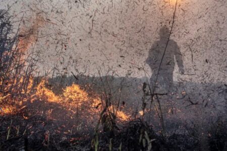 Bombeiros combate o fogo na vegetação