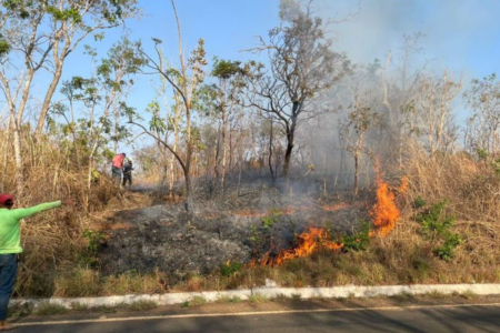 Imagem colorida mostra uma área de mata à beira de uma rodovia pegando fogo.