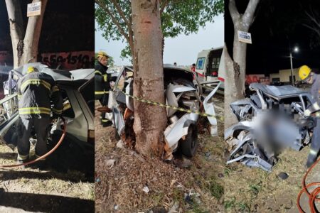 Colisão com árvore deixa carro destruído e motorista morto na BR-060, em Abadiânia