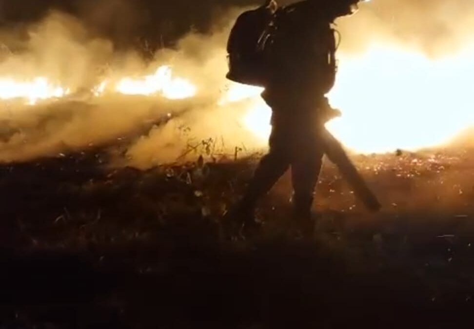 Imagem mostra um bombeiro trabalhando