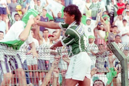 Tonhão jogando com a camisa do Palmeiras