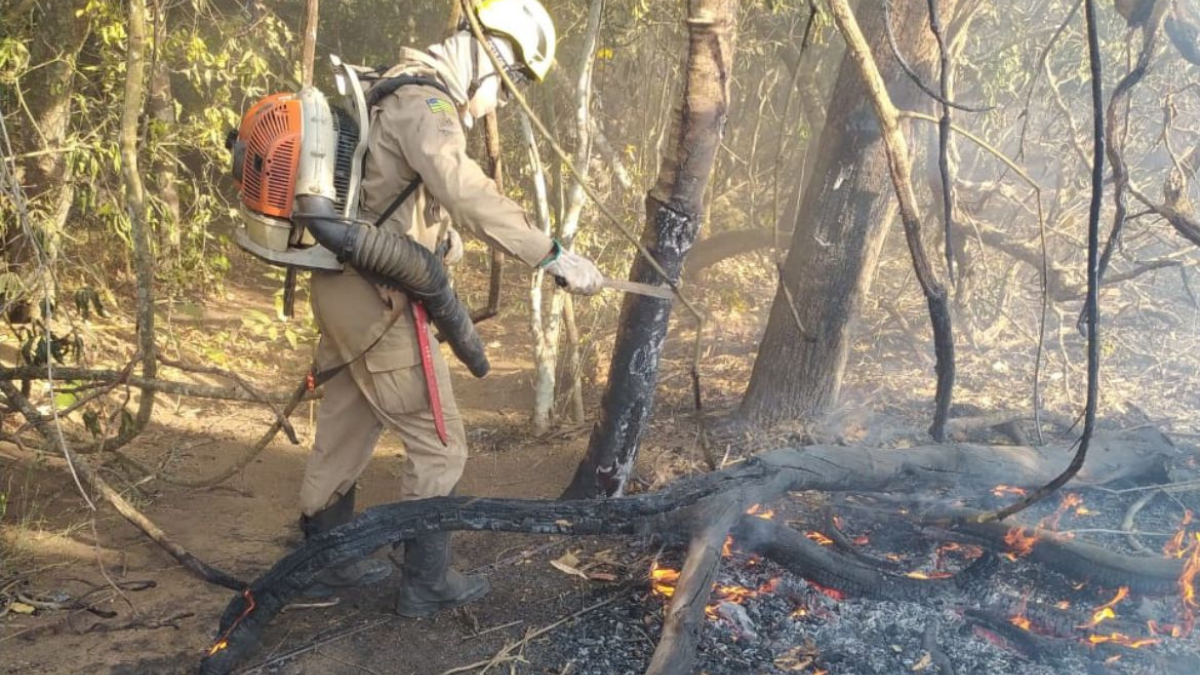 Imagem colorida mostra um militar dos Bombeiros combatendo o fogo em uma área de mata.