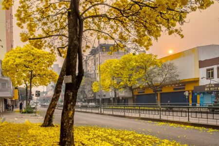 Goiânia recebe exposição fotográfica em homenagem aos 91 anos da cidade