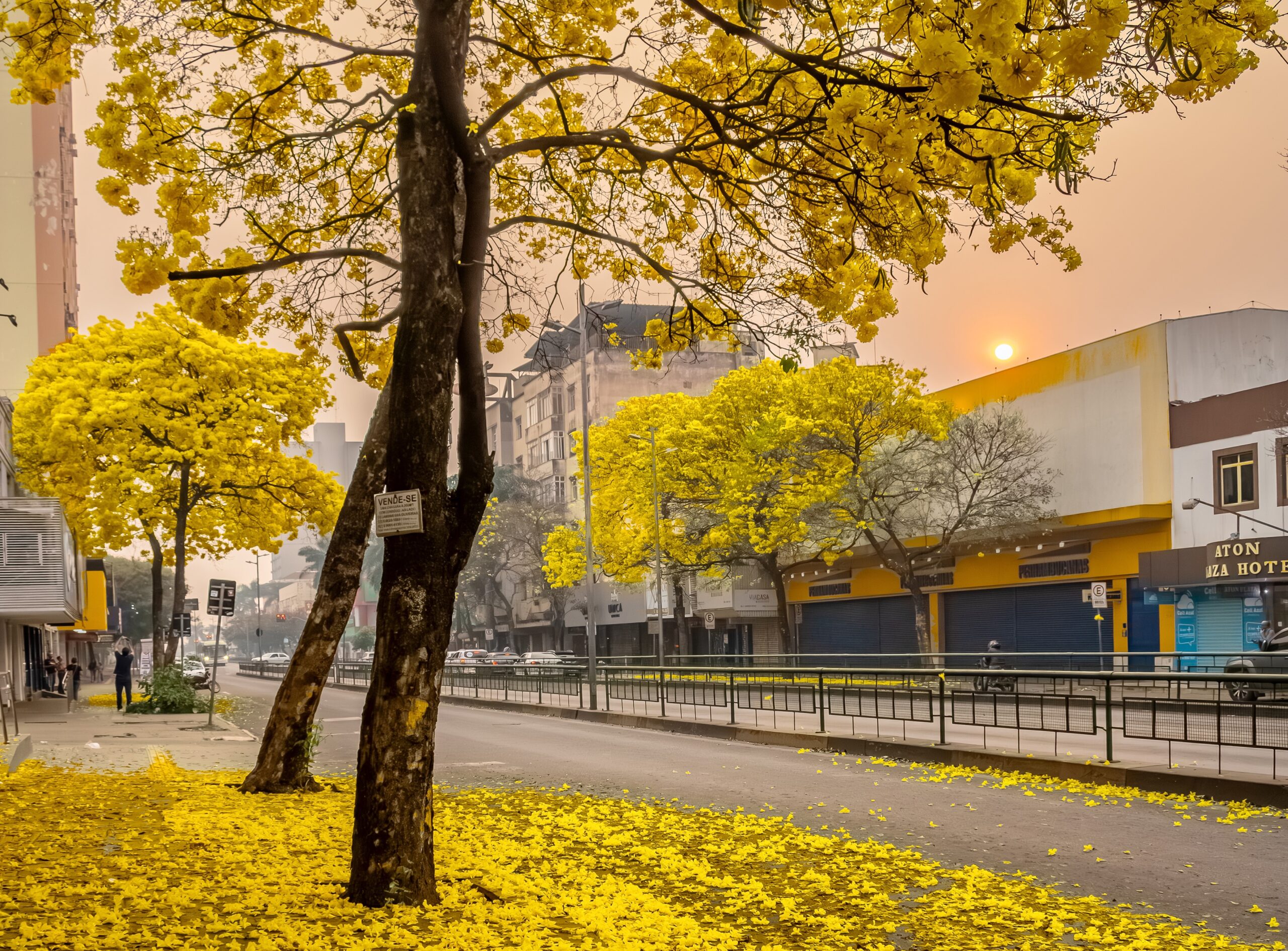 Goiânia recebe exposição fotográfica em homenagem aos 91 anos da cidade