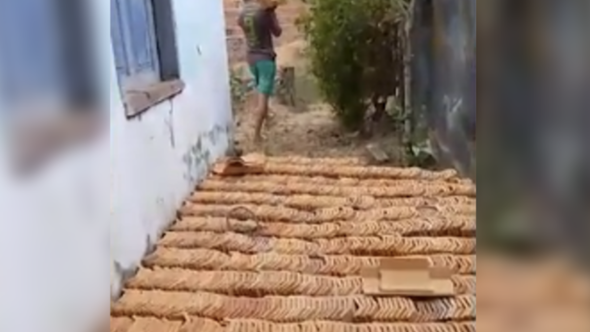 Eleitor vendeu o voto em troca de telhas para sua residência Foto (Reprodução)