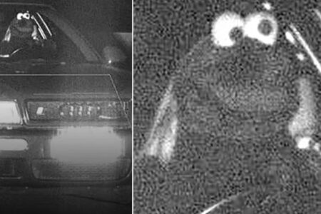 Polícia alemã flagra muppet da Vila Sésamo dirigindo acima da velocidade "Monstro" estava 16km/h acima do limite máximo