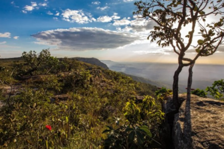 Posse dos eleitos para o Fórum de Mudanças Climáticas acontece até 6 de dezembro (Foto: Divulgação)