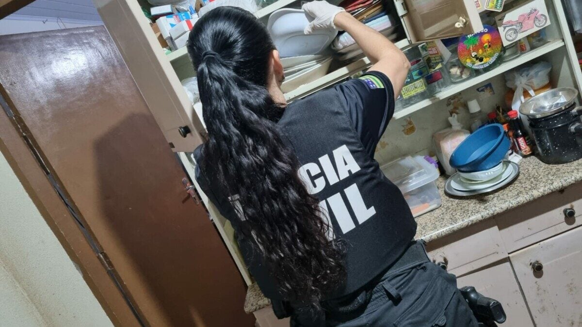 Polícia Civil prende mulher suspeita de envenenar gato do vizinho em Goiânia
