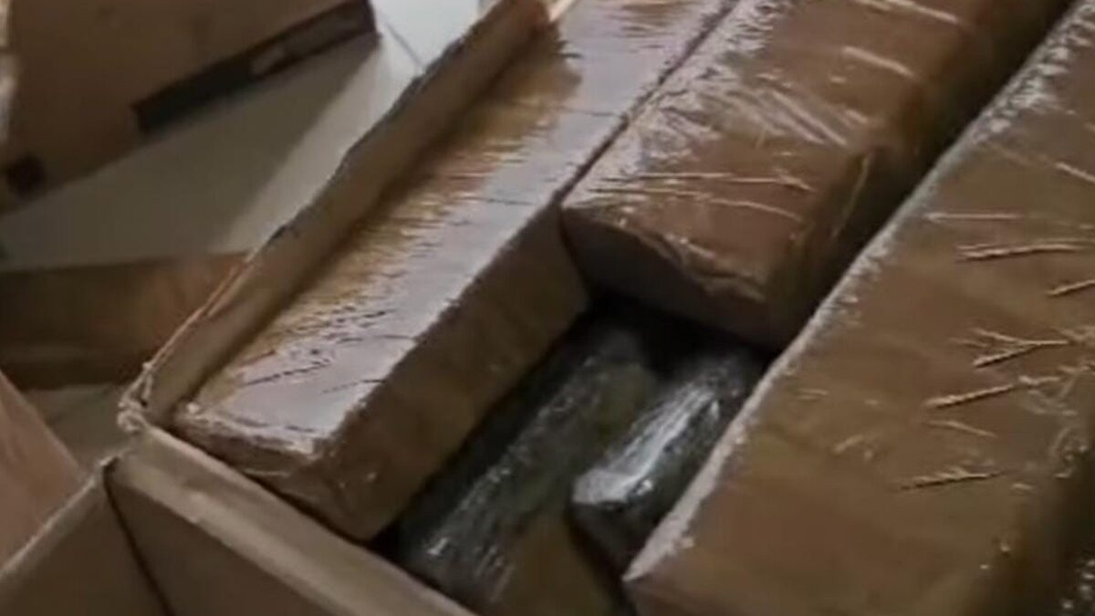 Homem foi preso com droga conhecida como "super maconha" (Foto: Divulgação / Polícia Militar)