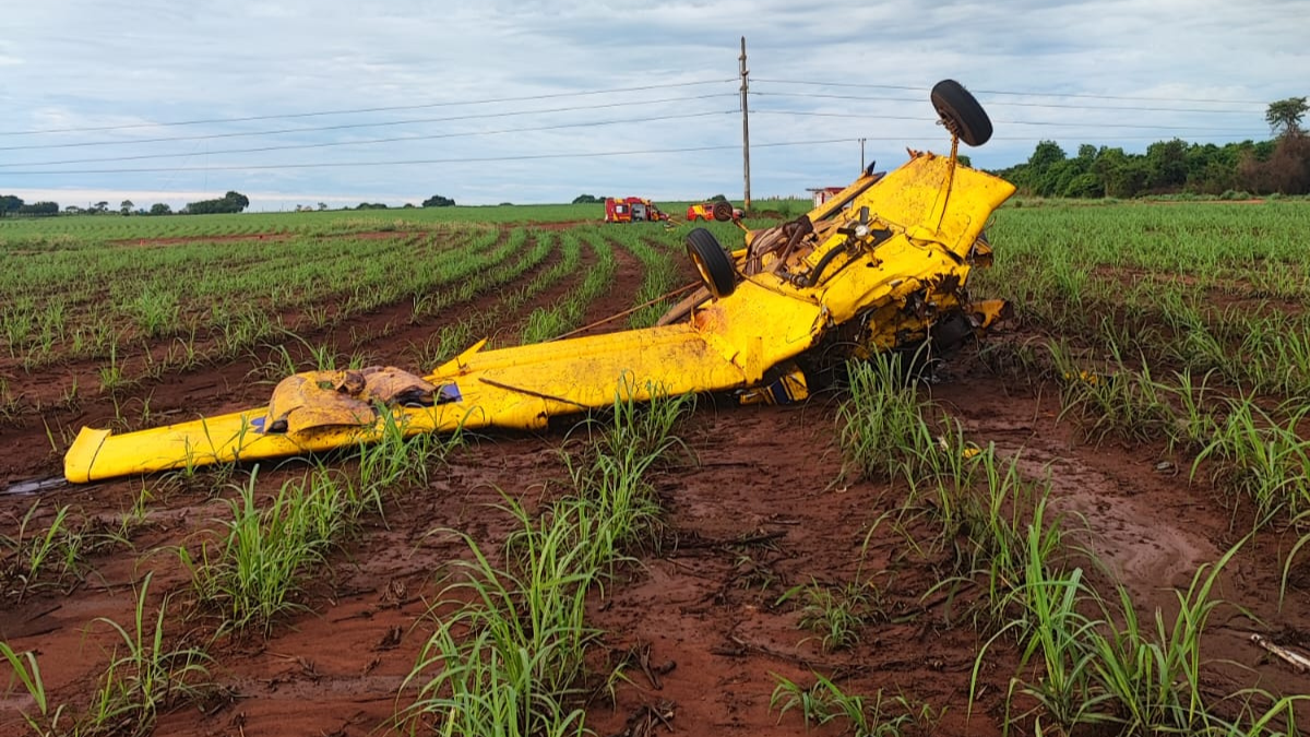 Imagem colorida mostra uma aeronave amarela caída em meio à uma plantação de cana-de-açúcar.
