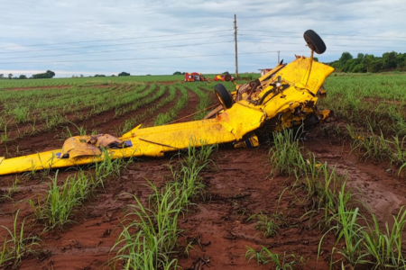 Imagem colorida mostra uma aeronave amarela caída em meio à uma plantação de cana-de-açúcar.