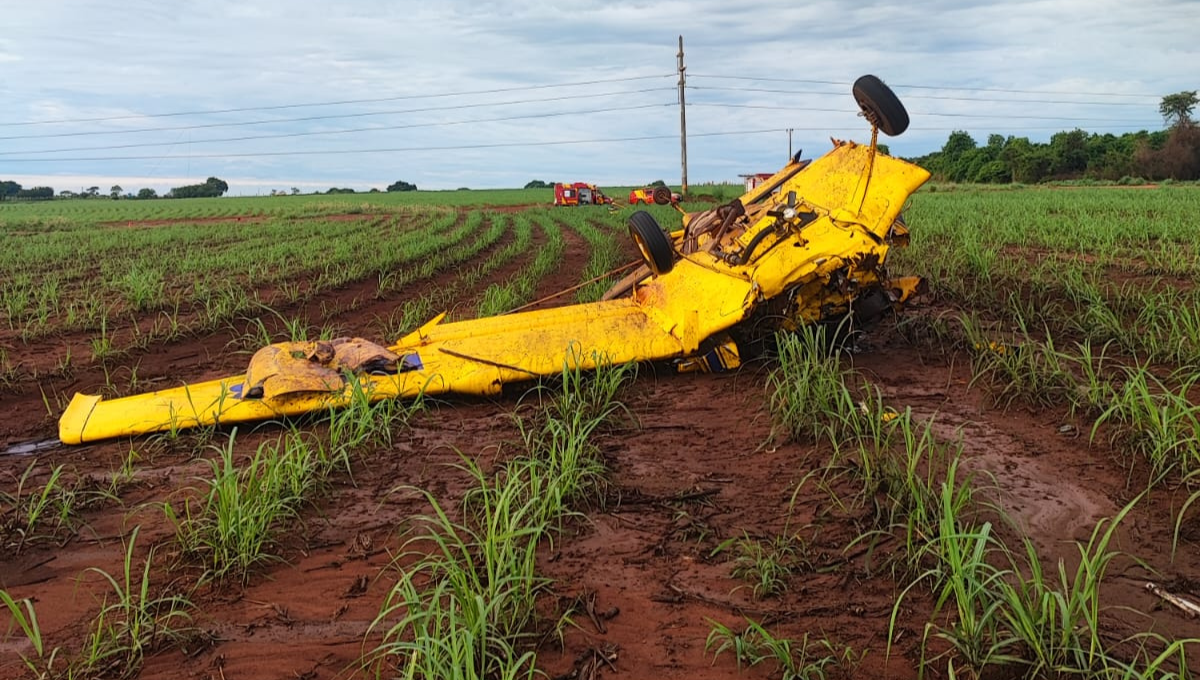 Imagem colorida mostra uma aeronave amarela caída em meio à uma plantação de cana-de-açúcar.