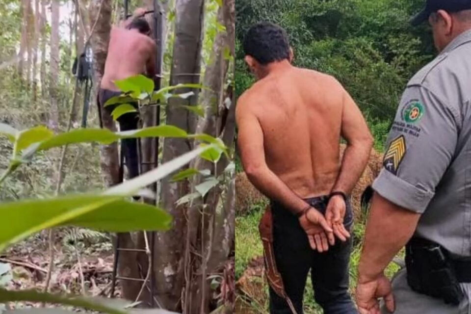 Homem descendo de árvore após ser encontrado por policiais, em Silvânia, Goiás
