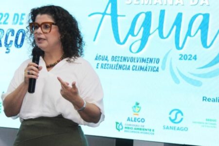 Secretária Andréa Vulcanis fará palestra no Fórum (Foto: Divulgação)