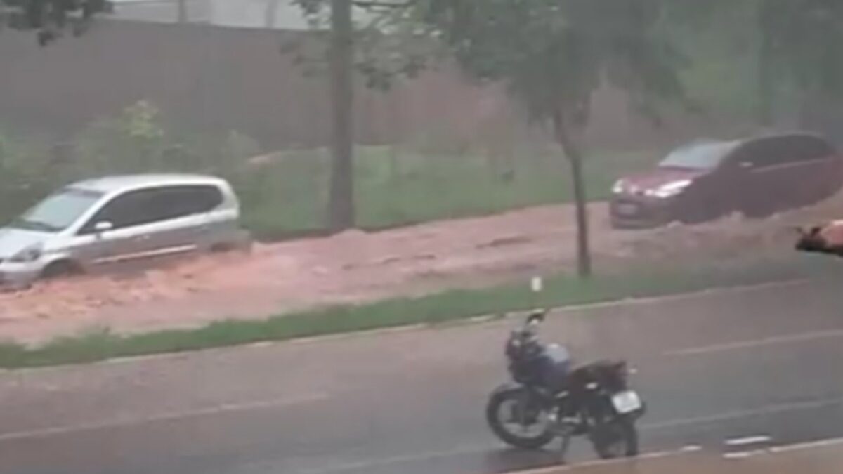 Chuva no Parque Amazônia, em Goiânia (Foto: Reprodução)