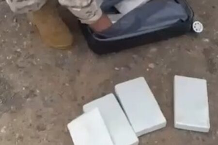 PM de Goiás intercepta carga de cocaína que seria enviada a facção baiana Peças da droga foram avaliadas em R$ 540 mil