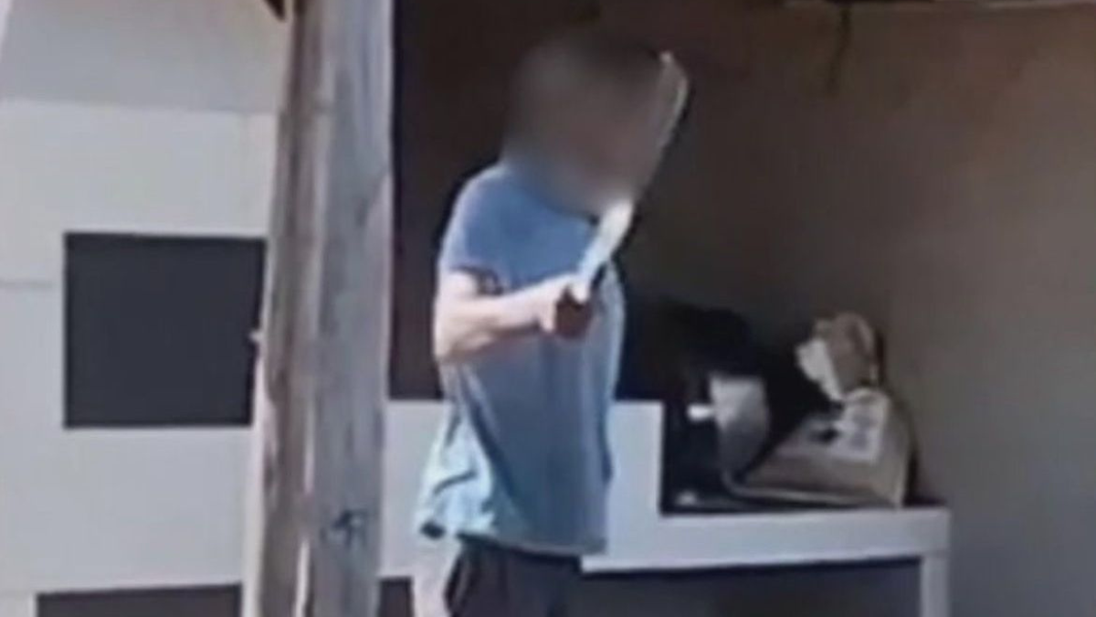 Imagem colorida mostra a imagem de um homem com o rosto borrado, vestindo uma camiseta azul clara e segurando uma espécie de foice.