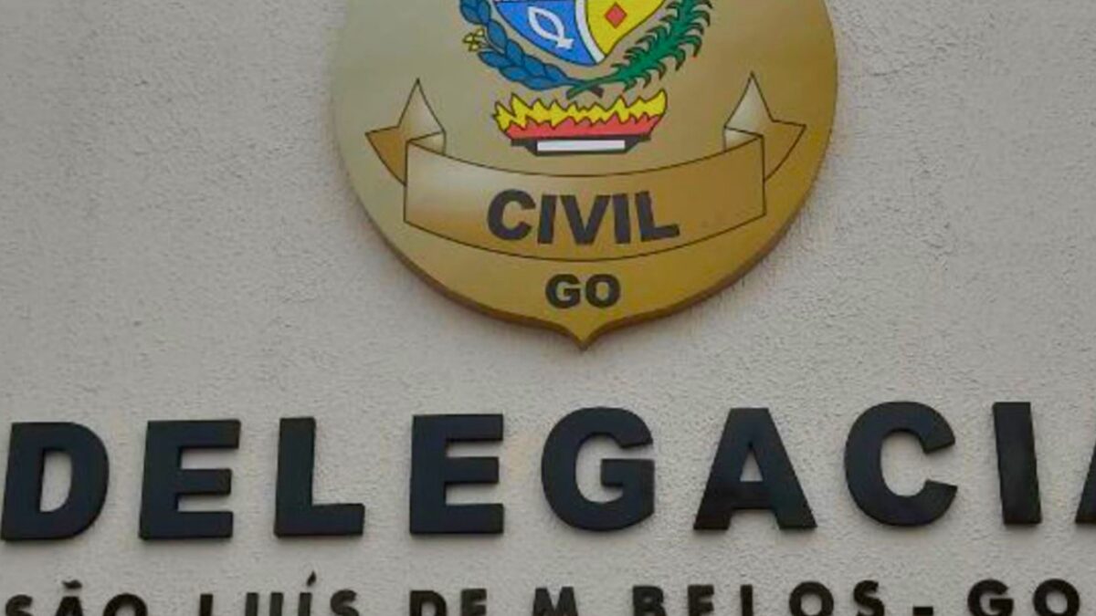 Polícia prende suspeito agredir gato até a morte em São Luís de Montes Belos