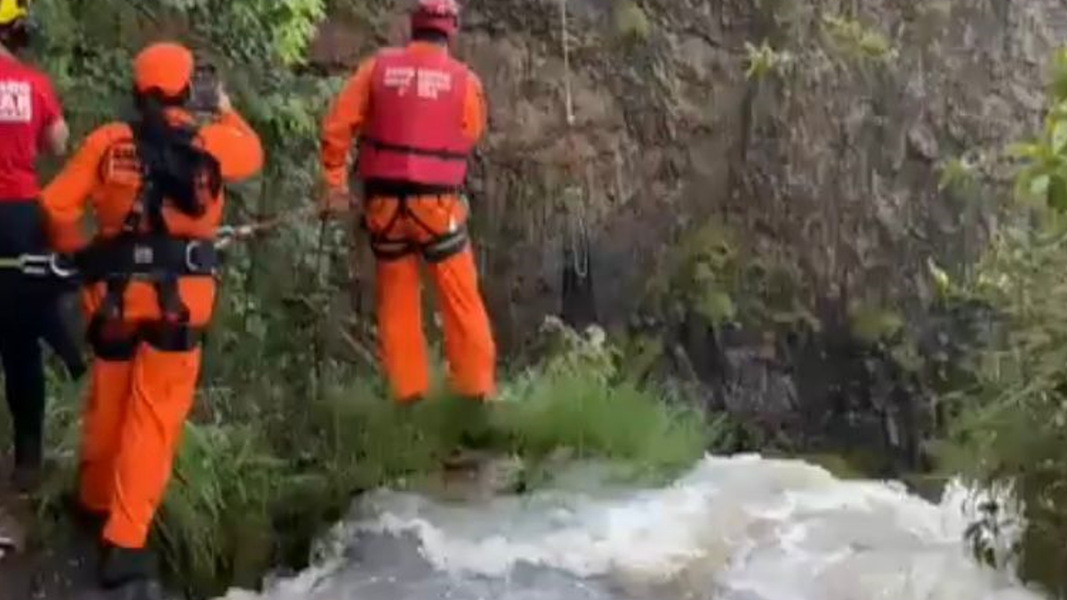 O boi estava em uma cachoeira de difícil acesso e precisou ser resgatado por militares (Foto: Divulgação/ CMBMG)