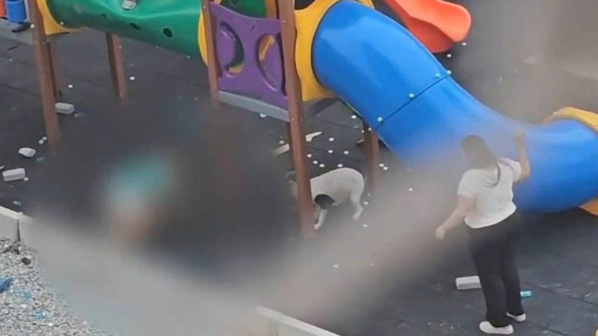 Pitbulls atacam duas crianças em parquinho de São Paulo; uma segue internada Animais foram recolhidos pela Polícia Civil