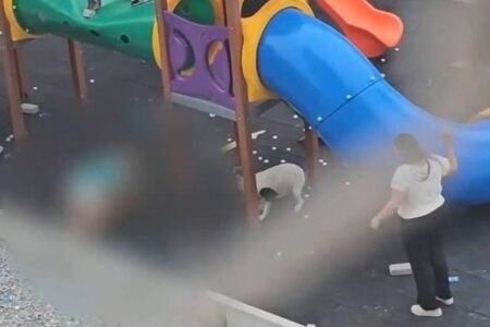 Pitbulls atacam duas crianças em parquinho de São Paulo; uma segue internada Animais foram recolhidos pela Polícia Civil